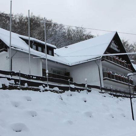 Pension Walddorf Winterberg Extérieur photo