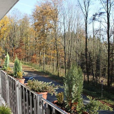 Pension Walddorf Winterberg Extérieur photo