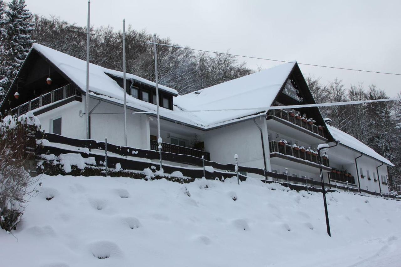 Pension Walddorf Winterberg Extérieur photo