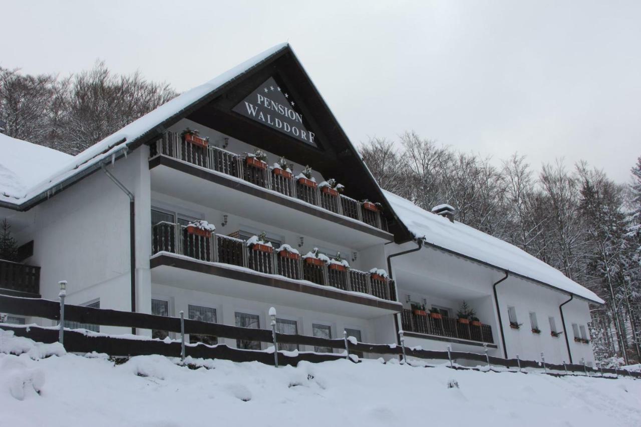 Pension Walddorf Winterberg Extérieur photo