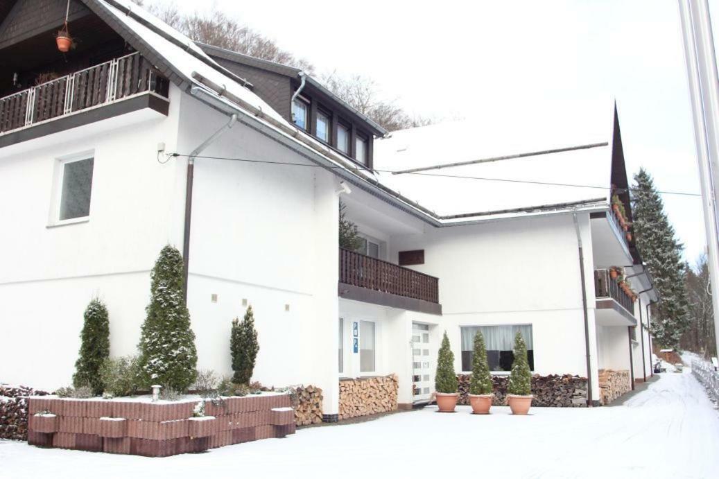 Pension Walddorf Winterberg Extérieur photo