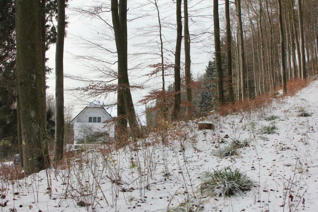 Pension Walddorf Winterberg Extérieur photo