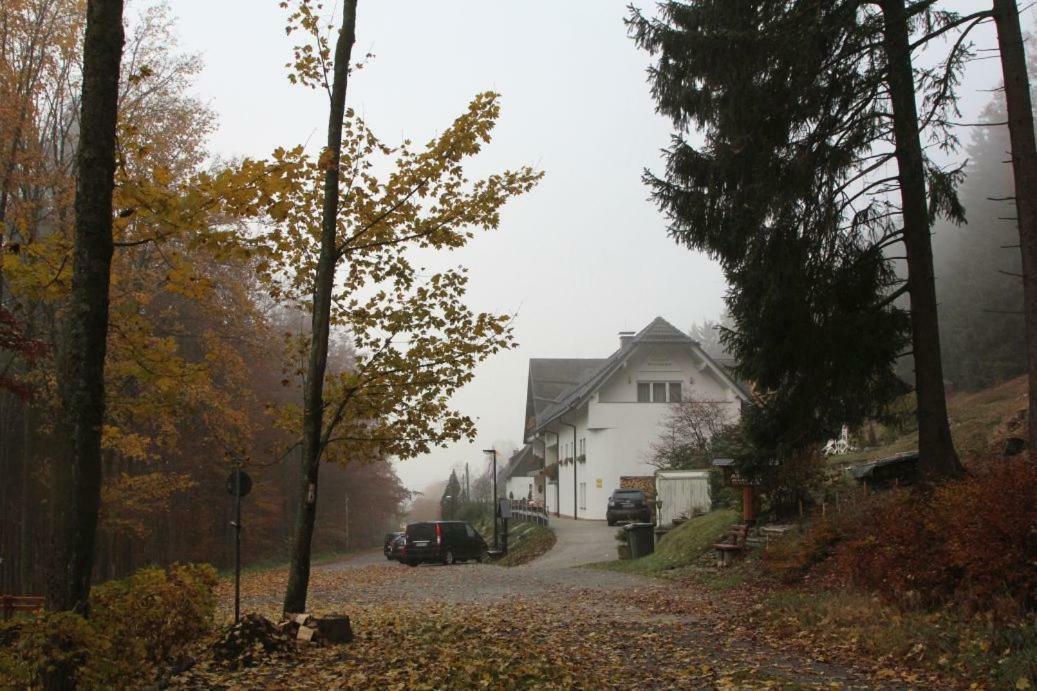 Pension Walddorf Winterberg Extérieur photo