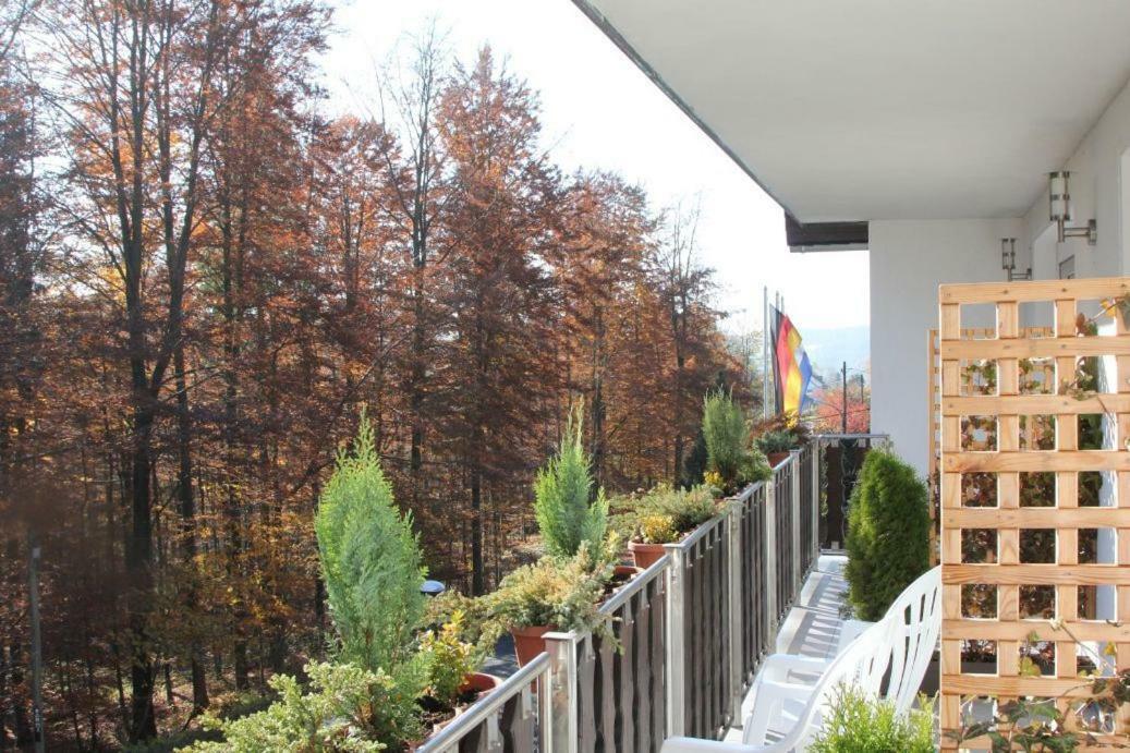 Pension Walddorf Winterberg Extérieur photo