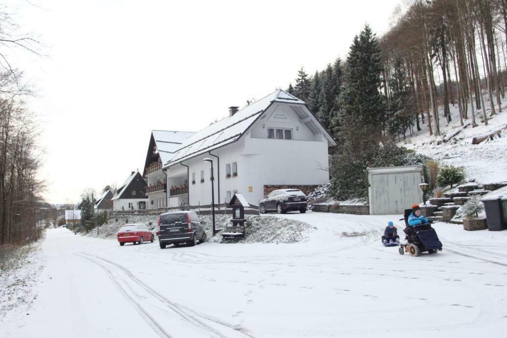 Pension Walddorf Winterberg Extérieur photo